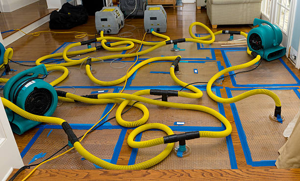 Professional Flood Damage Restoration technician working in Granger, IA